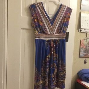 Kiara silly shirt dress NWT